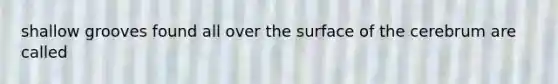 shallow grooves found all over the surface of the cerebrum are called