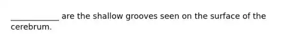 ____________ are the shallow grooves seen on the surface of the cerebrum.