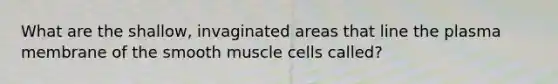 What are the shallow, invaginated areas that line the plasma membrane of the smooth muscle cells called?