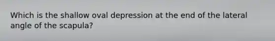 Which is the shallow oval depression at the end of the lateral angle of the scapula?