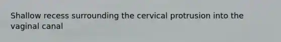 Shallow recess surrounding the cervical protrusion into the vaginal canal