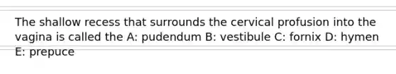 The shallow recess that surrounds the cervical profusion into the vagina is called the A: pudendum B: vestibule C: fornix D: hymen E: prepuce