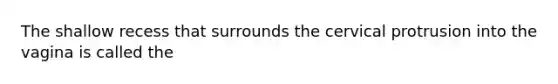 The shallow recess that surrounds the cervical protrusion into the vagina is called the