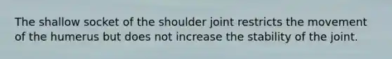 The shallow socket of the shoulder joint restricts the movement of the humerus but does not increase the stability of the joint.