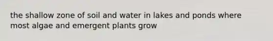 the shallow zone of soil and water in lakes and ponds where most algae and emergent plants grow