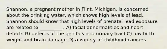 Shannon, a pregnant mother in Flint, Michigan, is concerned about the drinking water, which shows high levels of lead. Shannon should know that high levels of prenatal lead exposure are related to __________. A) facial abnormalities and heart defects B) defects of the genitals and urinary tract C) low birth weight and brain damage D) a variety of childhood cancers