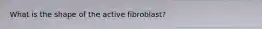 What is the shape of the active fibroblast?
