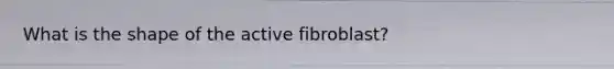 What is the shape of the active fibroblast?