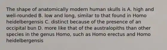 The shape of anatomically modern human skulls is A. high and well-rounded B. low and long, similar to that found in Homo heidelbergensis C. distinct because of the presence of an occipital bun D. more like that of the australopiths than other species in the genus Homo, such as Homo erectus and Homo heidelbergensis