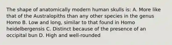 The shape of anatomically modern human skulls is: A. More like that of the Australopiths than any other species in the genus Homo B. Low and long, similar to that found in Homo heidelbergensis C. Distinct because of the presence of an occipital bun D. High and well-rounded