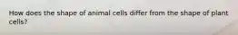 How does the shape of animal cells differ from the shape of plant cells?