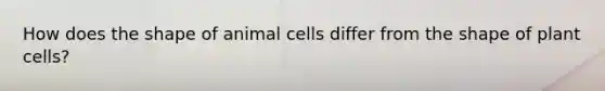 How does the shape of animal cells differ from the shape of plant cells?