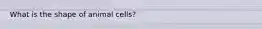 What is the shape of animal cells?