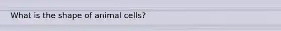 What is the shape of animal cells?