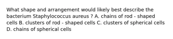 What shape and arrangement would likely best describe the bacterium Staphylococcus aureus ? A. chains of rod - shaped cells B. clusters of rod - shaped cells C. clusters of spherical cells D. chains of spherical cells