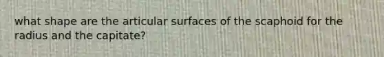 what shape are the articular surfaces of the scaphoid for the radius and the capitate?