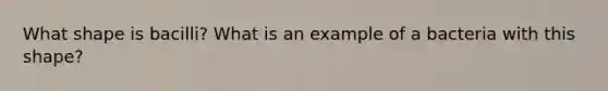 What shape is bacilli? What is an example of a bacteria with this shape?
