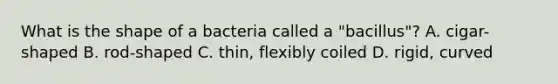 What is the shape of a bacteria called a "bacillus"? A. cigar-shaped B. rod-shaped C. thin, flexibly coiled D. rigid, curved