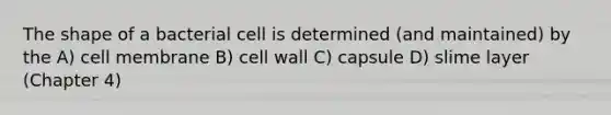 The shape of a bacterial cell is determined (and maintained) by the A) cell membrane B) cell wall C) capsule D) slime layer (Chapter 4)