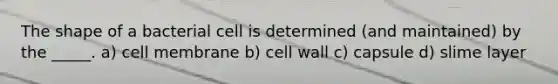 The shape of a bacterial cell is determined (and maintained) by the _____. a) cell membrane b) cell wall c) capsule d) slime layer