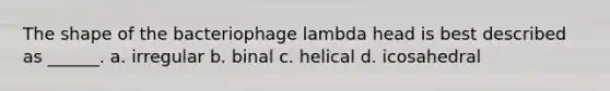 The shape of the bacteriophage lambda head is best described as ______. a. irregular b. binal c. helical d. icosahedral