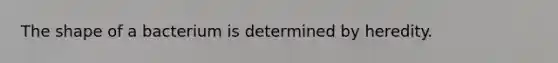 The shape of a bacterium is determined by heredity.