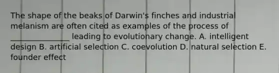 The shape of the beaks of Darwin's finches and industrial melanism are often cited as examples of the process of _______________ leading to evolutionary change. A. intelligent design B. artificial selection C. coevolution D. natural selection E. founder effect