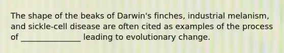 The shape of the beaks of Darwin's finches, industrial melanism, and sickle-cell disease are often cited as examples of the process of _______________ leading to evolutionary change.