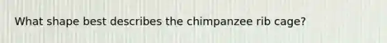 What shape best describes the chimpanzee rib cage?