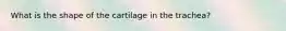 What is the shape of the cartilage in the trachea?