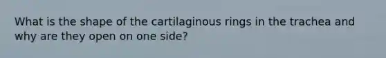 What is the shape of the cartilaginous rings in the trachea and why are they open on one side?