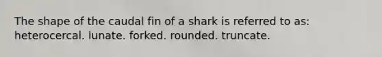 The shape of the caudal fin of a shark is referred to as: heterocercal. lunate. forked. rounded. truncate.