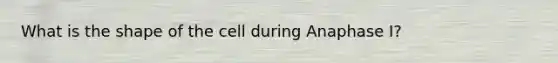 What is the shape of the cell during Anaphase I?