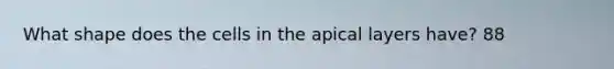 What shape does the cells in the apical layers have? 88