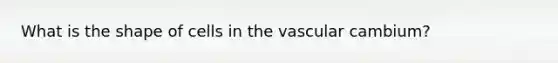 What is the shape of cells in the vascular cambium?