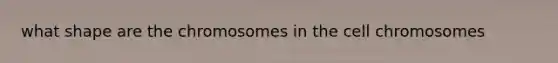 what shape are the chromosomes in the cell chromosomes