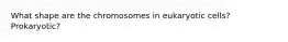 What shape are the chromosomes in eukaryotic cells? Prokaryotic?