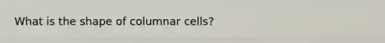 What is the shape of columnar cells?