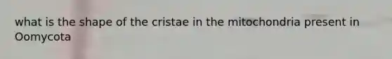 what is the shape of the cristae in the mitochondria present in Oomycota
