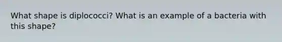 What shape is diplococci? What is an example of a bacteria with this shape?