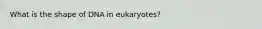 What is the shape of DNA in eukaryotes?