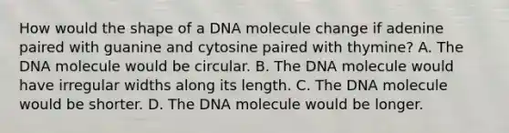 How would the shape of a DNA molecule change if adenine paired with guanine and cytosine paired with thymine? A. The DNA molecule would be circular. B. The DNA molecule would have irregular widths along its length. C. The DNA molecule would be shorter. D. The DNA molecule would be longer.