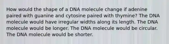 How would the shape of a DNA molecule change if adenine paired with guanine and cytosine paired with thymine? The DNA molecule would have irregular widths along its length. The DNA molecule would be longer. The DNA molecule would be circular. The DNA molecule would be shorter.