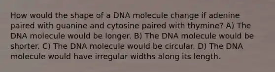 How would the shape of a DNA molecule change if adenine paired with guanine and cytosine paired with thymine? A) The DNA molecule would be longer. B) The DNA molecule would be shorter. C) The DNA molecule would be circular. D) The DNA molecule would have irregular widths along its length.