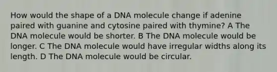 How would the shape of a DNA molecule change if adenine paired with guanine and cytosine paired with thymine? A The DNA molecule would be shorter. B The DNA molecule would be longer. C The DNA molecule would have irregular widths along its length. D The DNA molecule would be circular.