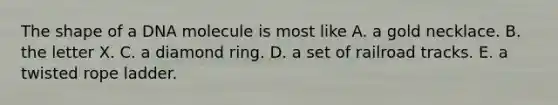 The shape of a DNA molecule is most like A. a gold necklace. B. the letter X. C. a diamond ring. D. a set of railroad tracks. E. a twisted rope ladder.