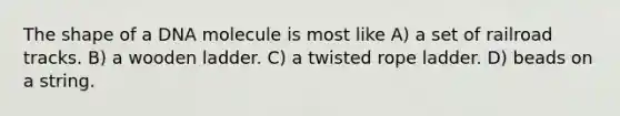 The shape of a DNA molecule is most like A) a set of railroad tracks. B) a wooden ladder. C) a twisted rope ladder. D) beads on a string.