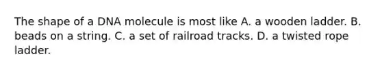 The shape of a DNA molecule is most like A. a wooden ladder. B. beads on a string. C. a set of railroad tracks. D. a twisted rope ladder.