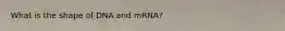 What is the shape of DNA and mRNA?