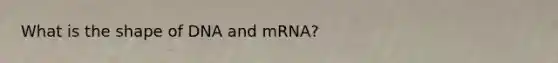 What is the shape of DNA and mRNA?